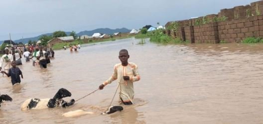 31 die as floods ravage many communities