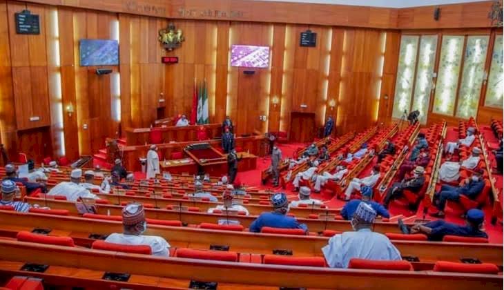 Senate Passes Bills To Establish Two Orthopaedic, Teaching Hospitals