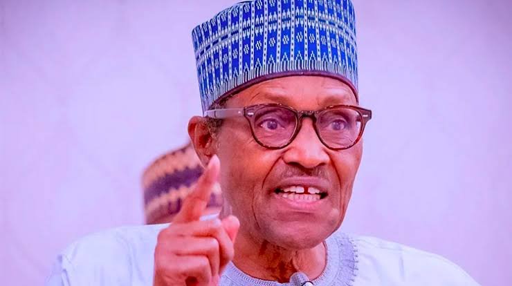 I Have Done Well, Says Buhari