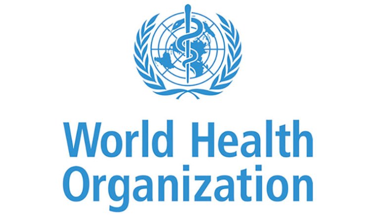 WHO, Ondo Team Up To Prevent Cholera Outbreak