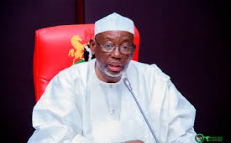 Eid al-Fitr: Jigawa Gov Pardons 12 inmates