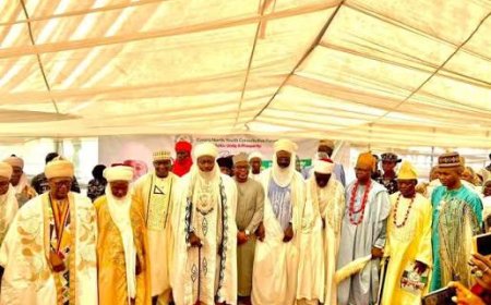 Kwara North Traditional Rulers Commend President Tinubu, Gov. AbdulRazaq, APC Leadership Over 2027 Governorship Ticket